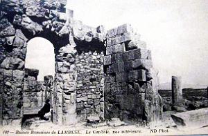 ALGERIE-RUINES ROMAINES DE LAMBESE (41)